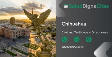 Salud Digna Chihuahua - Dirección y teléfonos de laboratorios clínicos