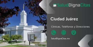 Salud Digna Ciudad Juárez - Dirección y teléfonos de laboratorios clínicos