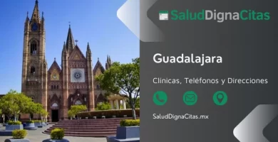 Salud Digna Guadalajara - Dirección y teléfonos de laboratorios clínicos