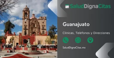 Salud Digna Guanajuato - Dirección y teléfonos de laboratorios clínicos