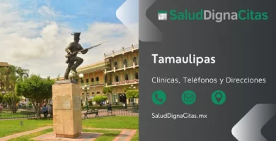 Salud Digna Tamaulipas - Dirección y teléfonos de laboratorios clínicos