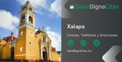 Salud Digna Xalapa - Dirección y teléfonos de laboratorios clínicos
